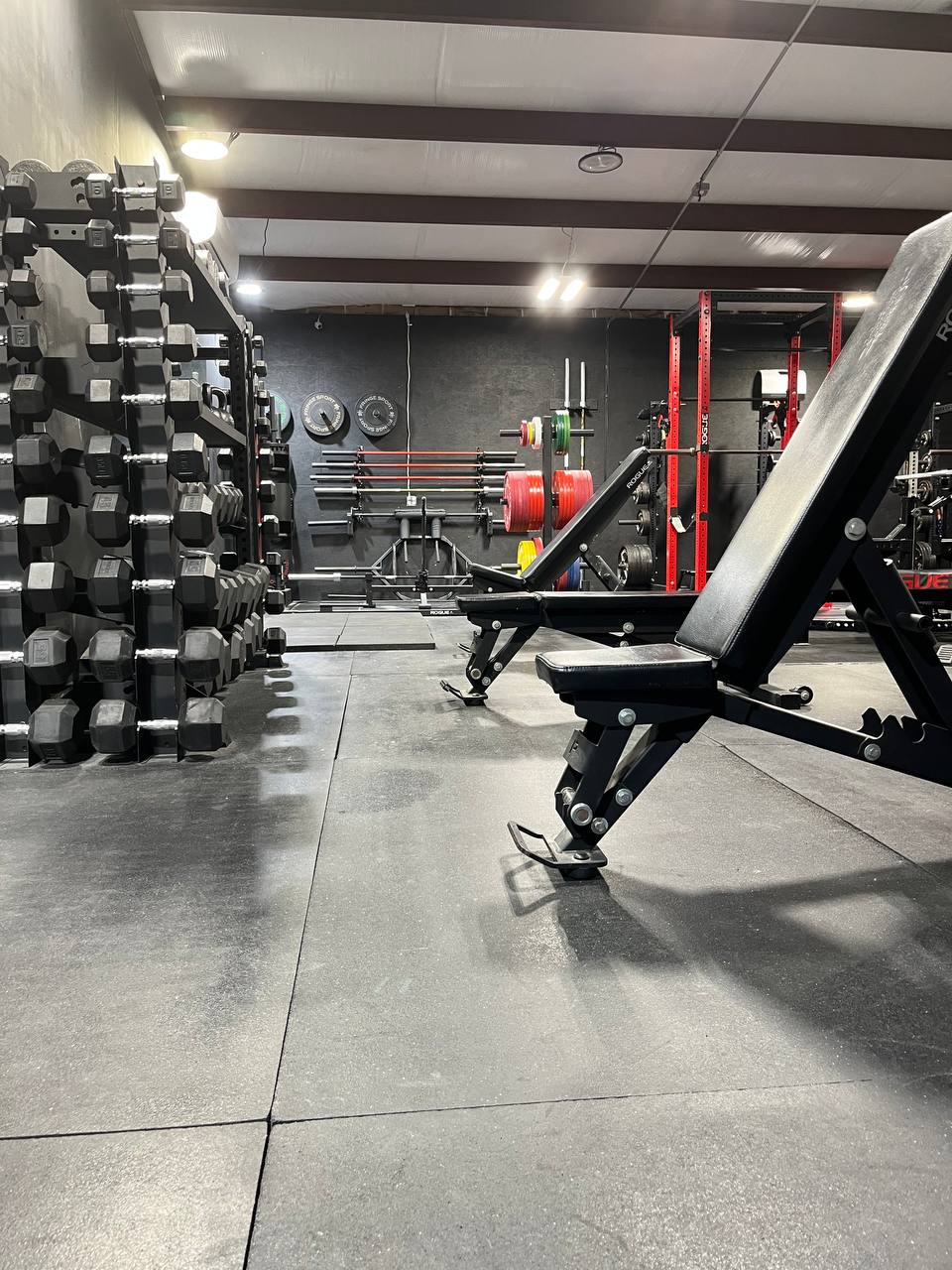 Dumbbell area
